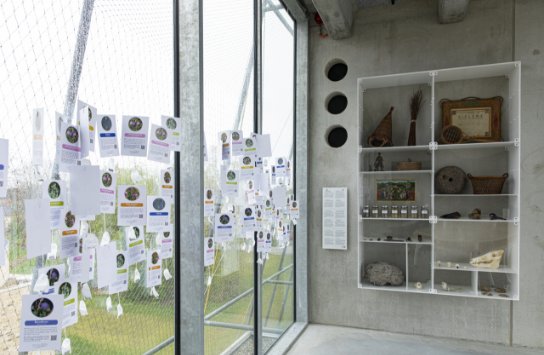 kruidenkaarten wonderkast (vergroot foto)