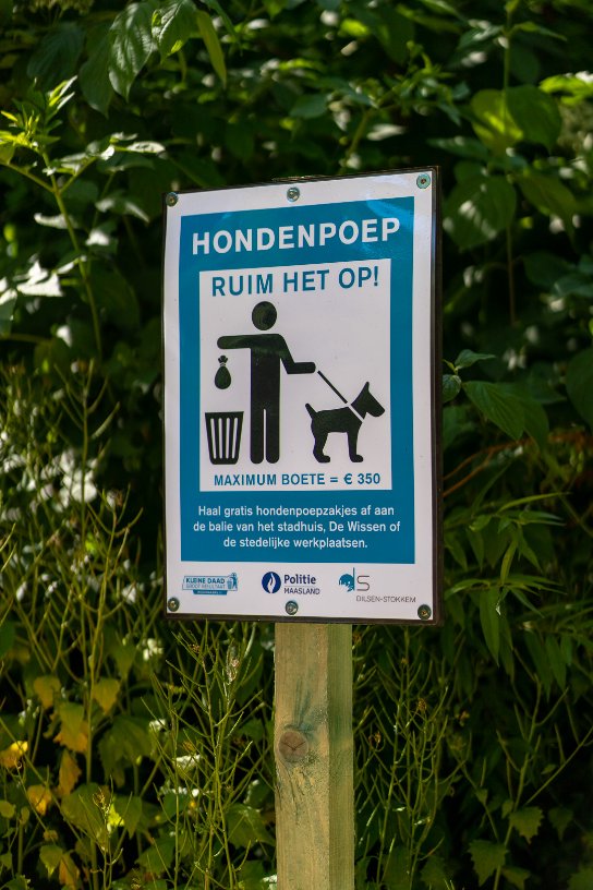 Dilsen-Stokkem_72dpi-220604-160450-04433.jpg (vergroot foto)