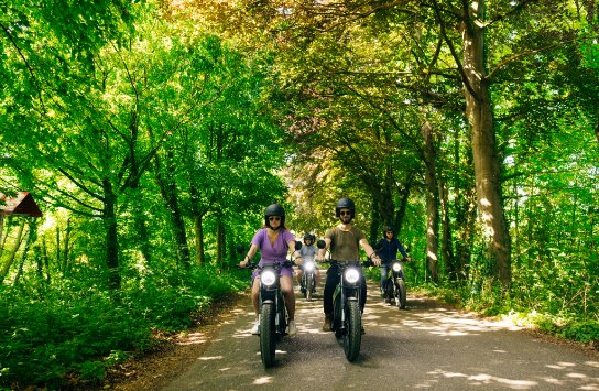 elektrische motorbikes (vergroot foto)